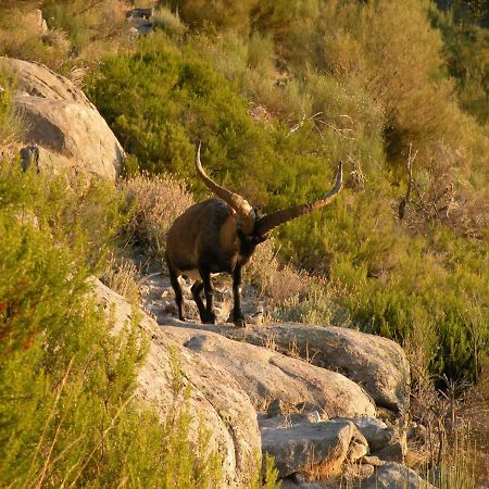 Hostal El Rincon De La Vera Losar De La Vera Εξωτερικό φωτογραφία
